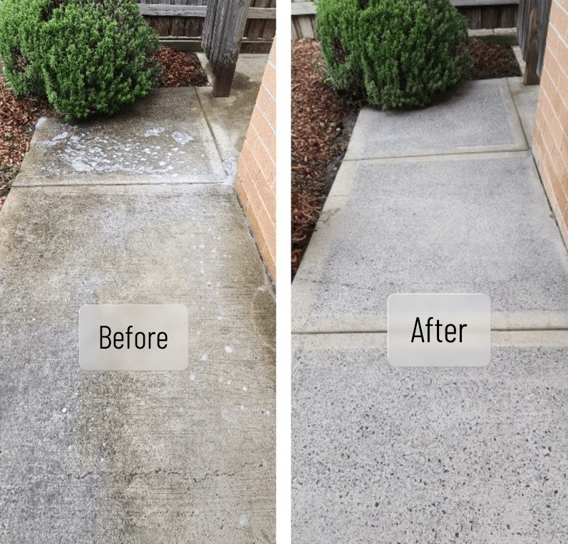 Team cleaning hospital ward